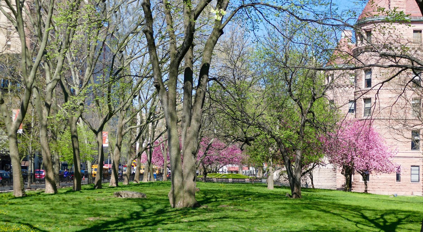 A beautiful community at the heart of all your passions a park with trees and grass