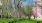 a park with trees and grass