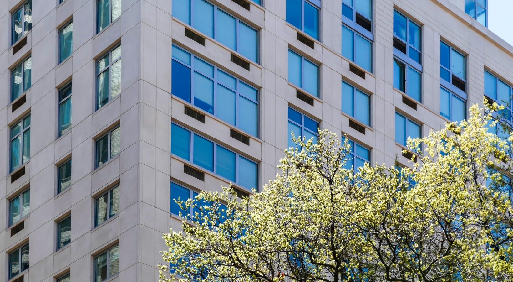 The essence of exceptional living a tree in front of a building