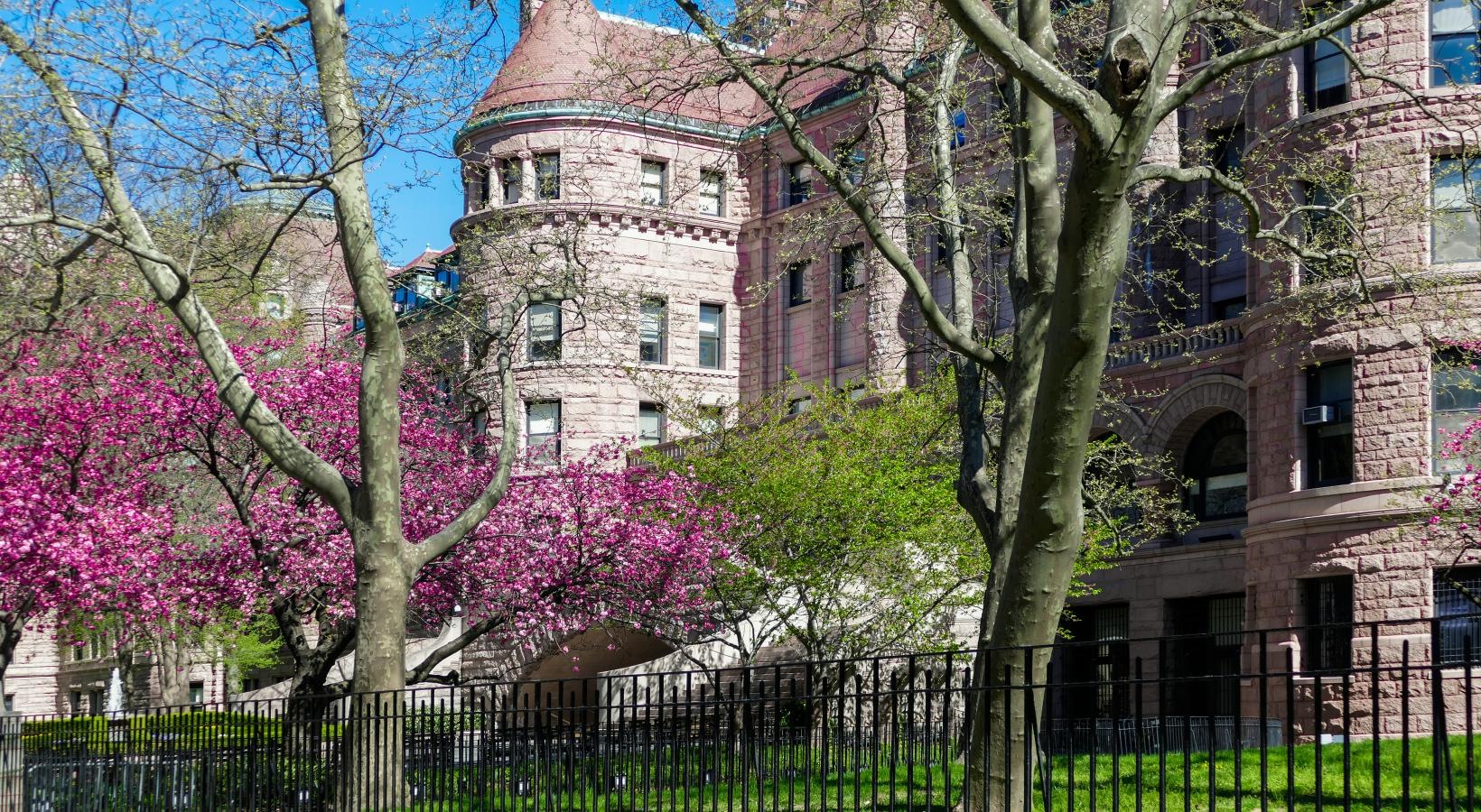 Find your perfect fit at The Larstrand a building with trees in front of it